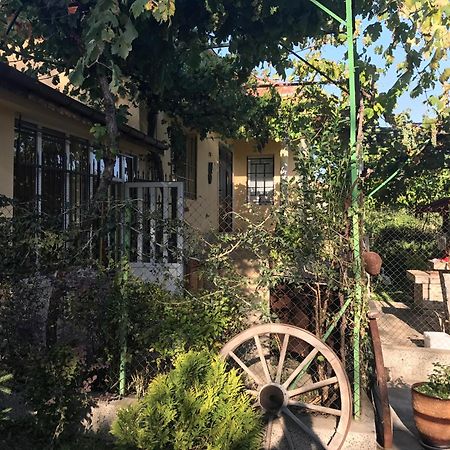 Guesthouse Planinsko Gnezdo Tŭzha Exterior foto