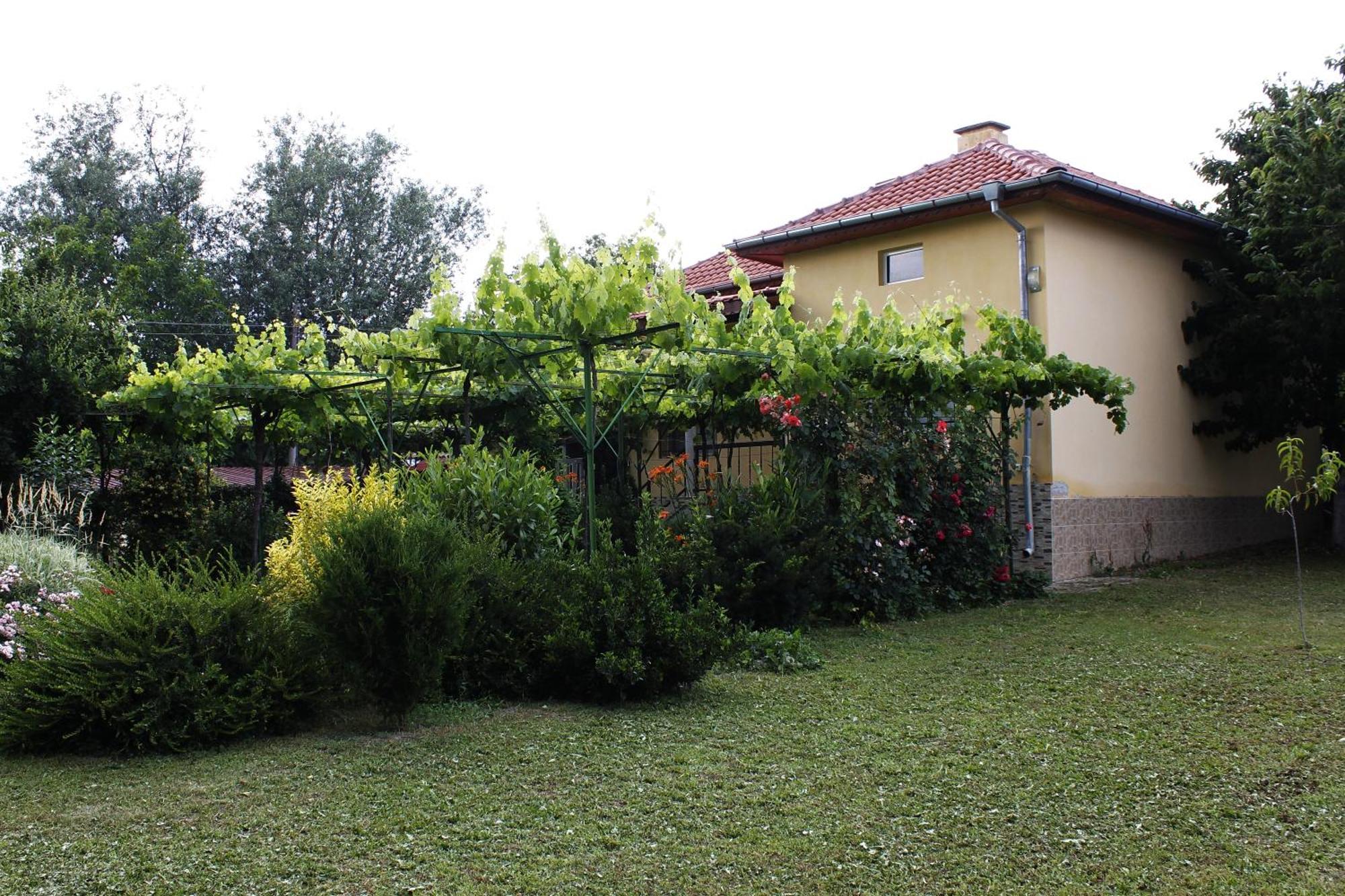 Guesthouse Planinsko Gnezdo Tŭzha Exterior foto