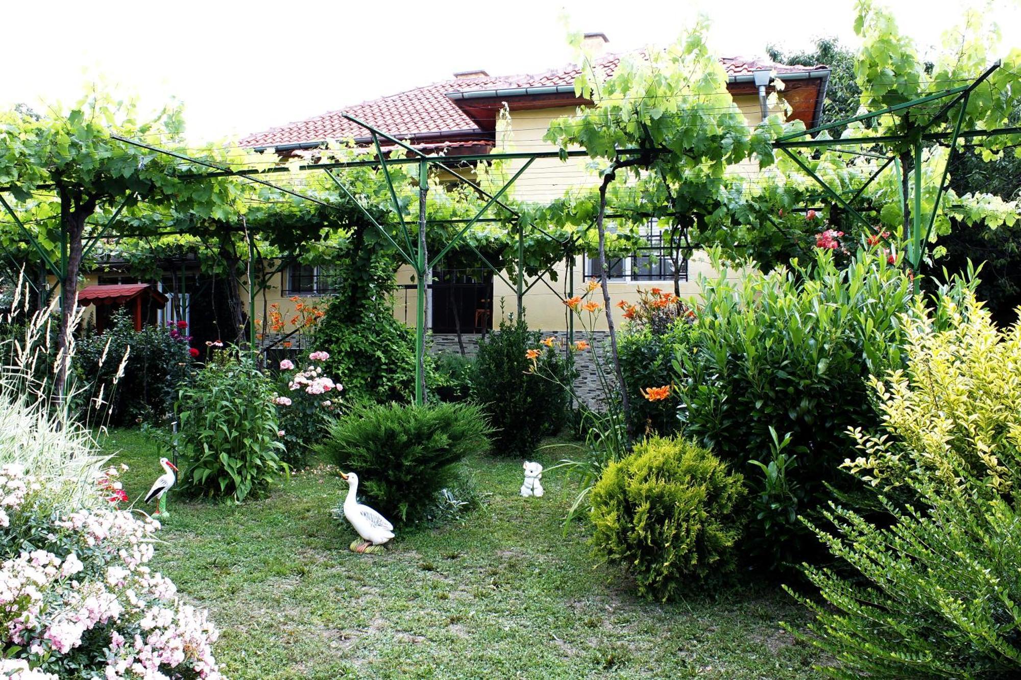 Guesthouse Planinsko Gnezdo Tŭzha Exterior foto
