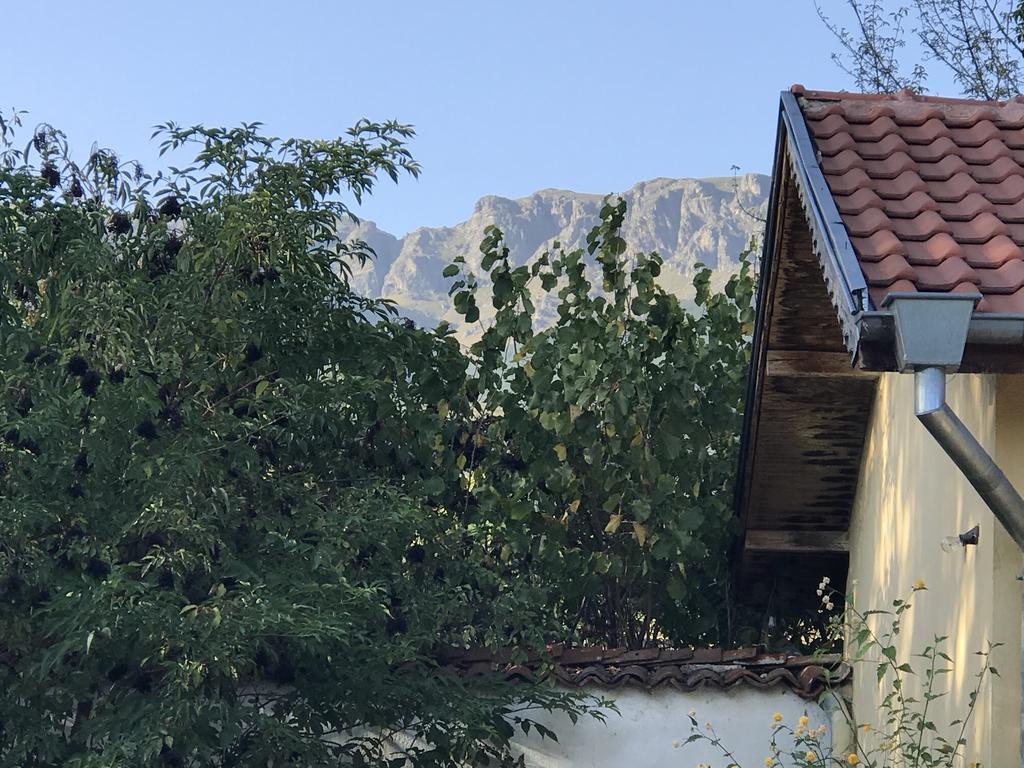 Guesthouse Planinsko Gnezdo Tŭzha Exterior foto